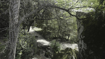 Similar image 22461352