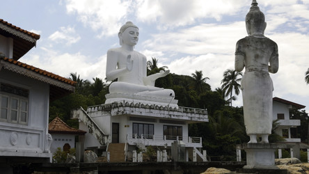 Similar image 22461381