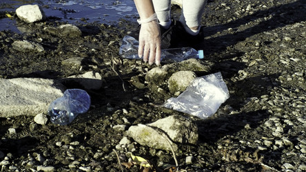 Similar image 22466565