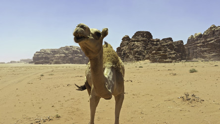 Similar image 22466641