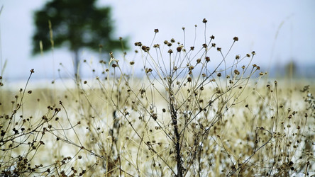 Similar image 22466687