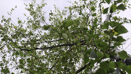 Similar image 22467076