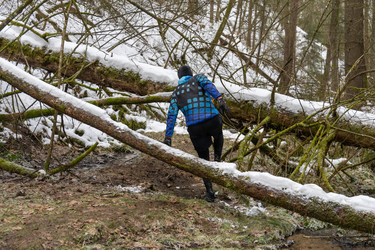 Similar image 22452541