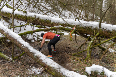 Similar image 22452542