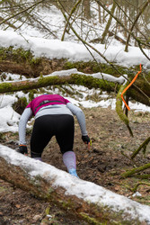 Similar image 22452543