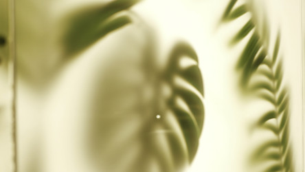 Similar image 22467136