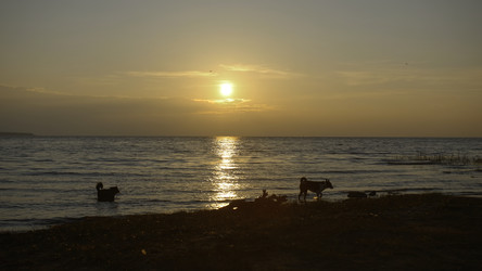 Similar image 22467287