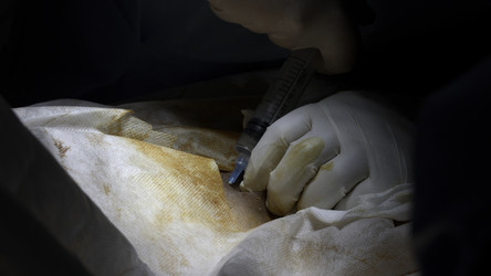 Similar image 22465600