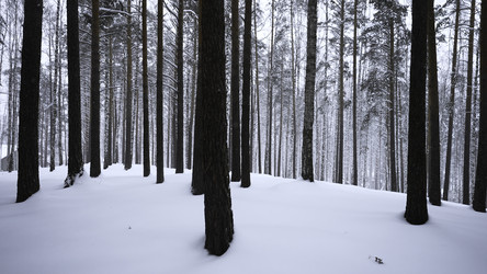 Similar image 22465665