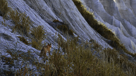 Similar image 22465768