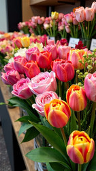 Similar image 22468168