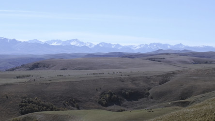 Similar image 22466435