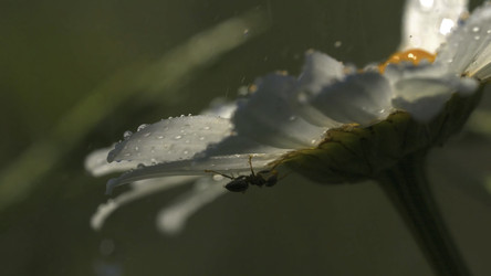 Similar image 22466474