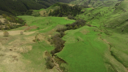 Similar image 22466988