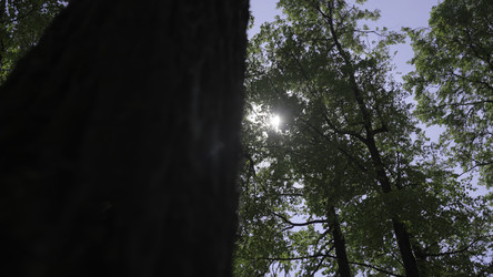 Similar image 22473414