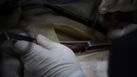 Similar image 22473457