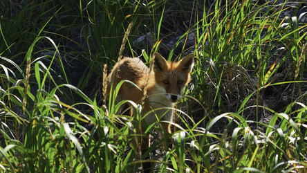 Similar image 22473470