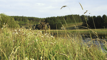 Similar image 22473481