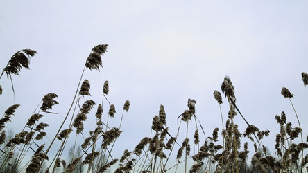 Similar image 22465526