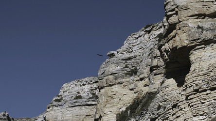 Similar image 22465587