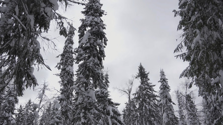 Similar image 22465621