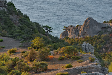 Similar image 22454589