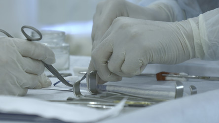 Similar image 22466461