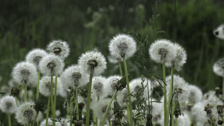 Similar image 22466508