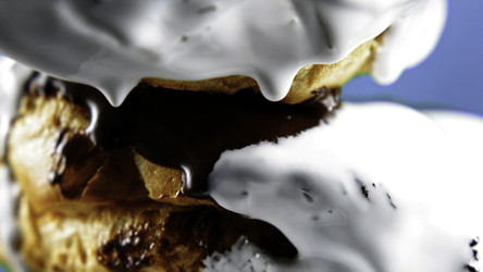 Similar image 22466568