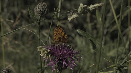 Similar image 22466718