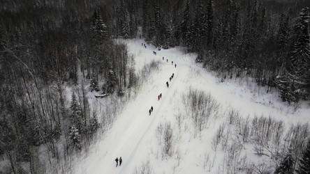 Similar image 22466747