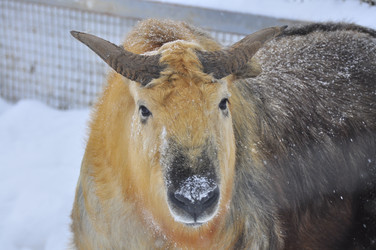 Similar image 22469505