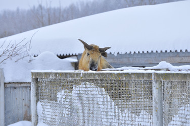 Similar image 22469506