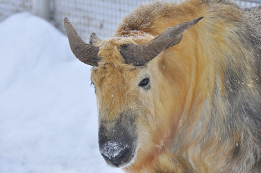 Similar image 22469507