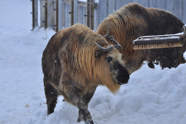 Similar image 22469508