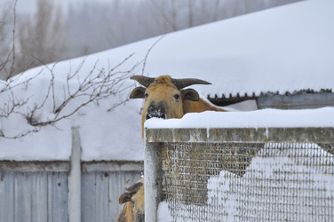 Similar image 22469509