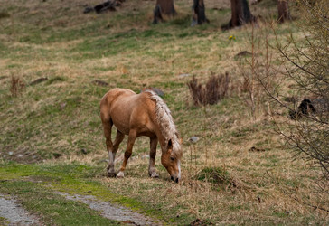 Similar image 22454593