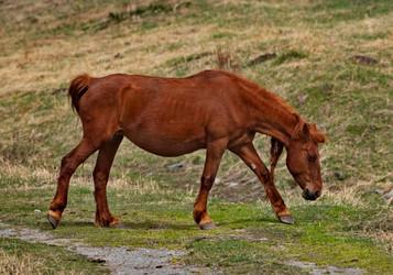 Similar image 22454594