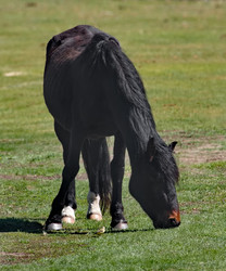 Similar image 22454576