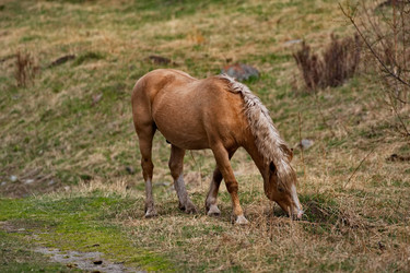 Similar image 22454577