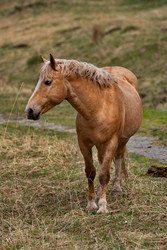 Similar image 22454578