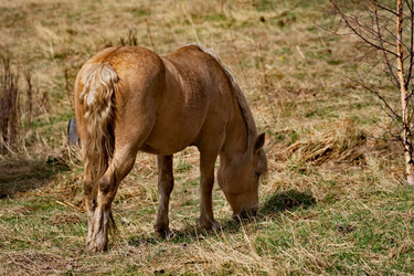 Similar image 22454579