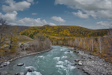 Similar image 22454596