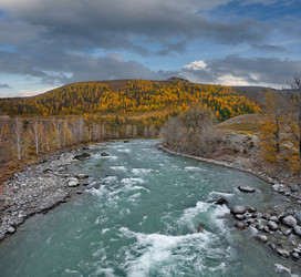 Similar image 22454597