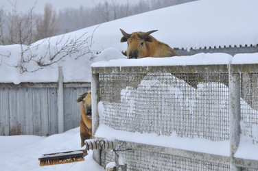 Similar image 22469477