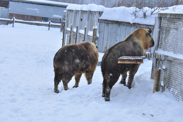 Similar image 22469478