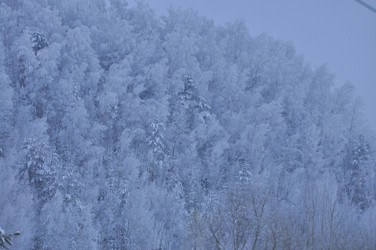 Similar image 22469491