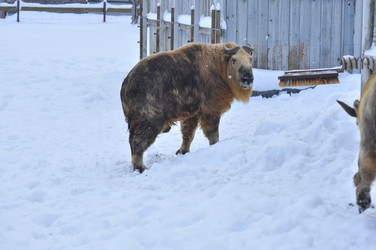 Similar image 22469492