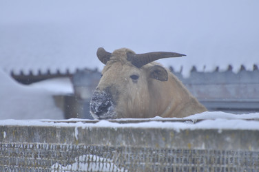 Similar image 22469493