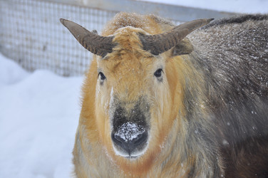 Similar image 22469494